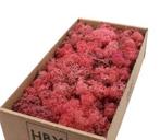 Rendiermos ijslandsmos pink/ oud roze +/- 500 gram