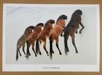 Maurizio Cattelan (After) - 5 Pferde Horses, 2007 - Original