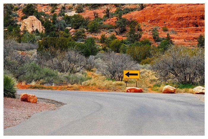 Roberto Cavalli (1971) - XXL - Somewhere, in America - #1110, Antiek en Kunst, Kunst | Designobjecten