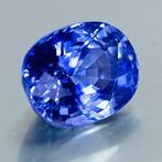 Blauw Saffier - 9.87 ct - Lotus Gemology, Nieuw
