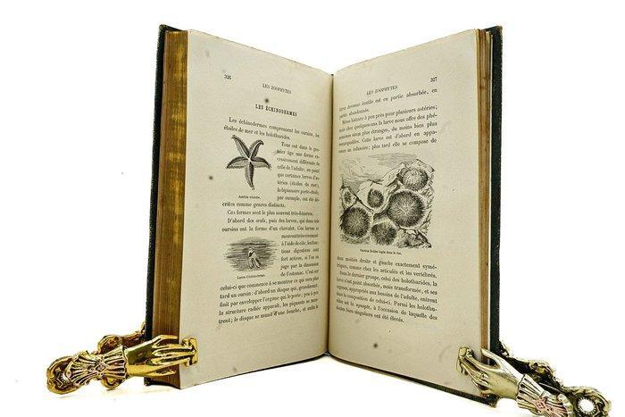 Victor Meunier - Les animaux à métamorphoses - 1876, Antiek en Kunst, Antiek | Boeken en Manuscripten