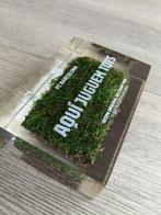 FC Barcelona - 2021 - Gras, Nieuw