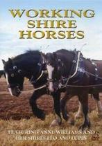 Working Shire Horses DVD (2004) Anne Williams cert E, Zo goed als nieuw, Verzenden