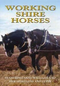 Working Shire Horses DVD (2004) Anne Williams cert E, CD & DVD, DVD | Autres DVD, Envoi