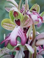 P.G.Morssillo - Organic Orquídea, Antiquités & Art, Art | Peinture | Moderne
