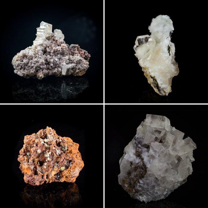 Verzameling van 16 mineralenmonsters uit 16 locaties -, Verzamelen, Mineralen en Fossielen