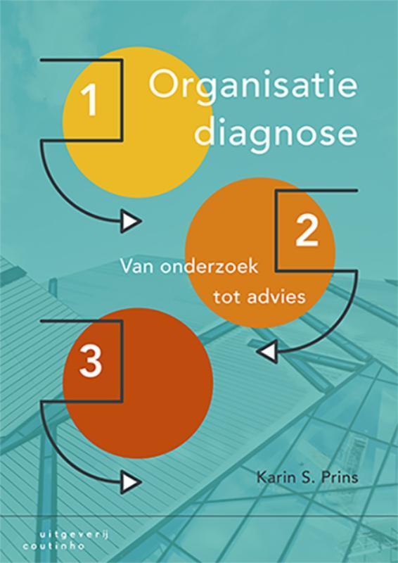 Organisatiediagnose 9789046906156 Karin S. Prins, Boeken, Studieboeken en Cursussen, Zo goed als nieuw, Verzenden
