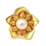 Oorbellen - 18 karaat Geel goud - Parel, Nieuw