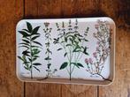 Villeroy & Boch - Service de table (173) - botanique -