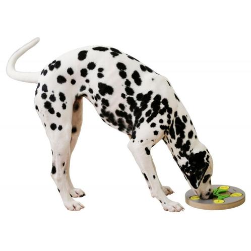 Jeu de réflexion et dapprentissage -  switch - Ø 25 cm -, Dieren en Toebehoren, Honden-accessoires
