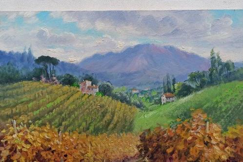 Domenico Ronca (1964) - The road of vineyards - Tuscany, Antiek en Kunst, Kunst | Schilderijen | Klassiek