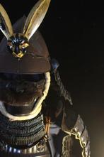 Harnas - Japan - Hotoke Dou Gusoku met de Japanese Armor