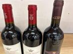 2020 Le Serre Nuove DellOrnellaia x2 & 2017 Castello Banfi, Verzamelen, Wijnen, Nieuw