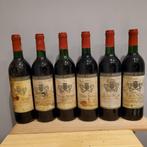 1994 Chateau Terre Noire - Lalande-de-Pomerol - 6 Flessen, Nieuw