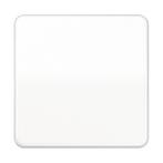 Jung CD500 Schakelelement/Centrale Plaat - CD590BFWW, Verzenden, Nieuw