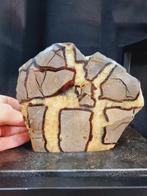 Sculpture de septaria - Plante fossilisée - 153 mm - 180 mm