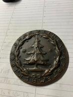 Italie. Medaglia in bronzo fuso Varnesi. 1920. Inaugurazione, Postzegels en Munten