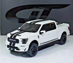 1:18 - Voiture miniature - Shelby Ford F150 - GT415 dans un, Hobby en Vrije tijd, Nieuw