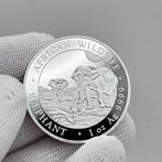 Somalië. 100 Shilling 2026 – African Wildlife Series –