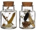 Vaasje Naturel met kurk incl. droogbloemen 10×7 cm per stuk, Hobby en Vrije tijd, Nieuw