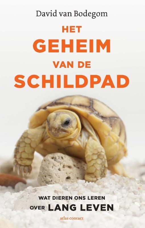 Het geheim van de schildpad 9789045038933 David van Bodegom, Boeken, Gezondheid, Dieet en Voeding, Zo goed als nieuw, Verzenden