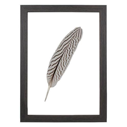 Fotolijst Dubbelglas A4 Floss, Huis en Inrichting, Woonaccessoires | Lijsten, Verzenden