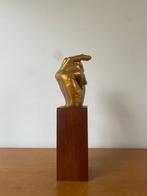 SYLVAIN BARBEROT - trump power