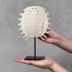 GEEN RESERVEPRIJS - Chinese Soft-shell Turtle op een, Antiquités & Art