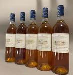 2002 Château Fontebride - Sauternes - 5 Flessen (0.75 liter), Verzamelen, Nieuw