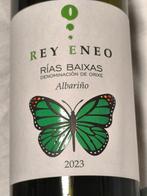 2023 Rey Eneo Albariño - Rias Baixas - 6 Flessen (0.75, Verzamelen, Wijnen, Nieuw