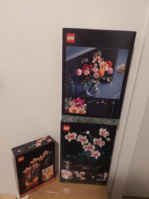 Lego Set - Icons - Orchidee, mini-orchidee, Roze, Kinderen en Baby's, Speelgoed | Duplo en Lego