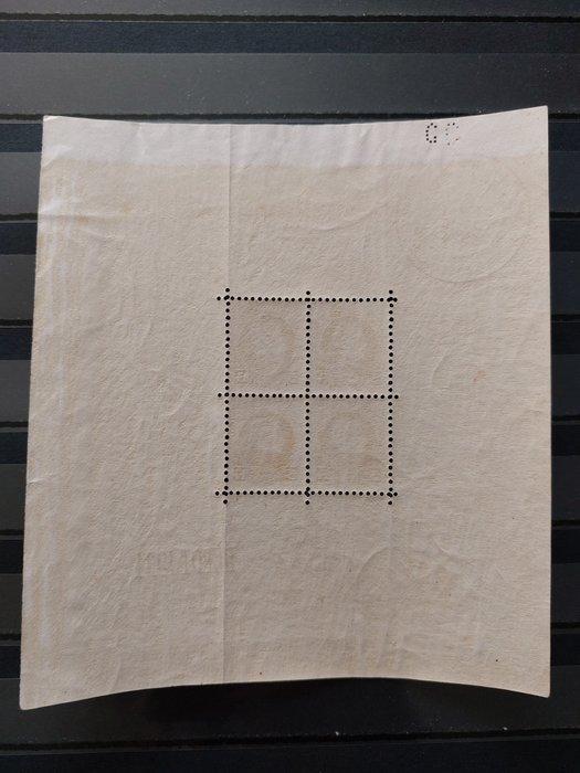 België 1924 - Blok Montenez - OBP BL 1 geplooid, Timbres & Monnaies, Timbres | Europe | Belgique