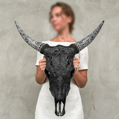 GEEN RESERVEPRIJS - Gesneden zwarte koeienschedel met, Antiek en Kunst, Kunst | Designobjecten