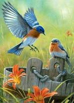 2dekans | Rubye® Diamond Painting Volwassenen - Diamond, Ophalen of Verzenden, Nieuw