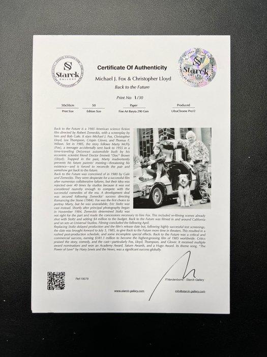 Back to the Future Part II (1989) - Michael J. Fox &, Verzamelen, Film en Tv