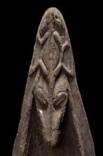 Kanu-Spitze - Ramu, Provincie Madang - Papoea-Nieuw-Guinea -