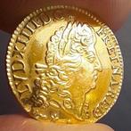 Frankrijk. Louis XIV (1643-1715). Louis dor 1691, Pau. Gold