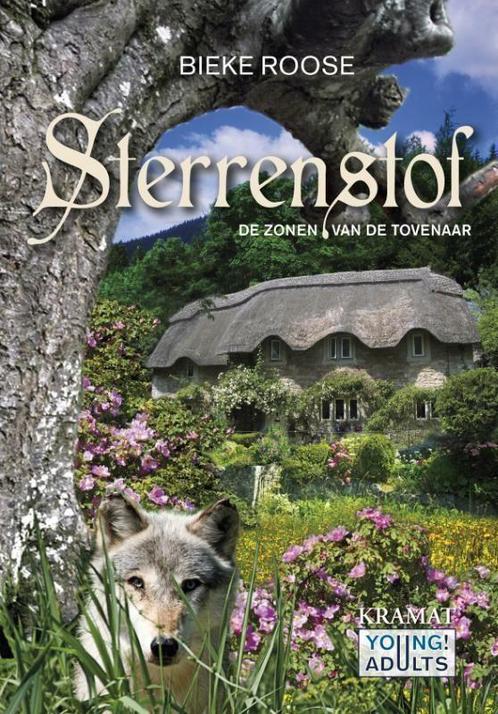 De zonen van de tovenaar / Sterrenstof / 3 9789462420175, Boeken, Kinderboeken | Jeugd | 13 jaar en ouder, Gelezen, Verzenden