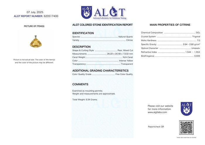 ALGT Certified - Grote en zeer exclusieve natuurlijke, Verzamelen, Mineralen en Fossielen