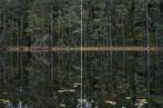 Bernhard Lang - Deep_Mirroring_Forest_011, Diptych