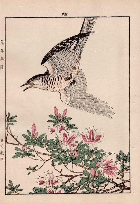 Lesser cuckoo () and Azalea () - From the album, Antiek en Kunst, Antiek | Overige Antiek