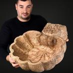 Antiek Wijwatervat - 17e/18e eeuw - Oude waterbak /