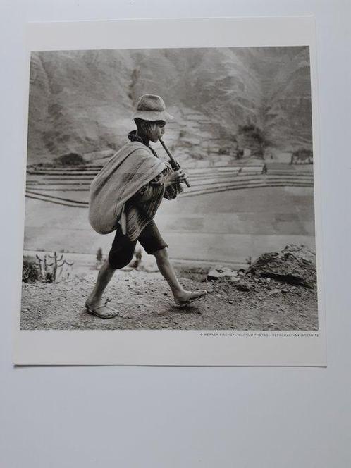 Werner Bischof - Pérou 1954, Antiek en Kunst, Kunst | Schilderijen | Modern