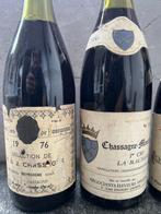 1976 Bourgogne 1986 Chassagne-Montrachet 1° Cru La, Collections