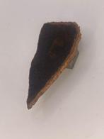 brachiet NWA 16900 - 5.31 g - (1)