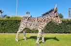 Large donkey flower basket - Beeldje - Ezel - IJzer, Antiek en Kunst, Curiosa en Brocante