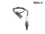 Lambda Sonde BMW K 1300 R (K1300R) (7672785)