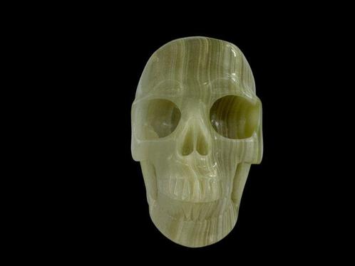 Jaspe Afghan « Qualité Musée » Crâne sculpté - Jasper - 9.5, Verzamelen, Dierenverzamelingen