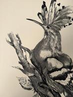 Franse school (XIX) - Loiseau