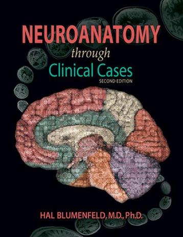 Neuroanatomy Through Clinical Cases 9780878936137, Verzenden, Hal Blumenfeld